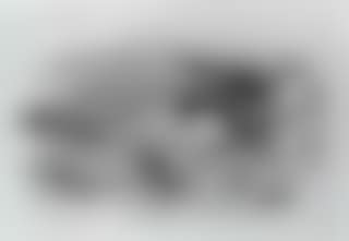 Gull billes Tern (preview)