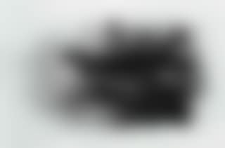 Spotted Crake (preview)