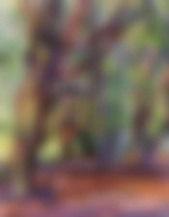 Epping forest (preview)