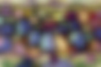 Mur a Brehat (preview)