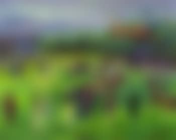 Fenaison (preview)