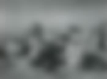 Arabs seated with camels in town square (preview)
