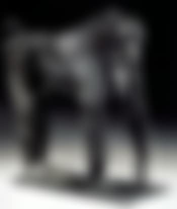 Babouin sacre Hamadryas (preview)