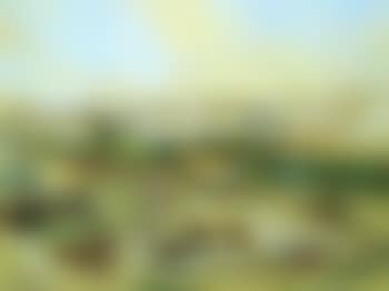 Vue de Meknes (preview)