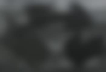 Composition (preview)