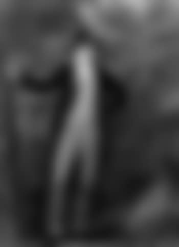 L'elegant en sous bois (preview)