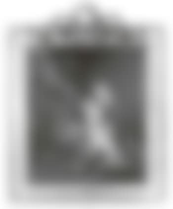 La savonneuse (preview)
