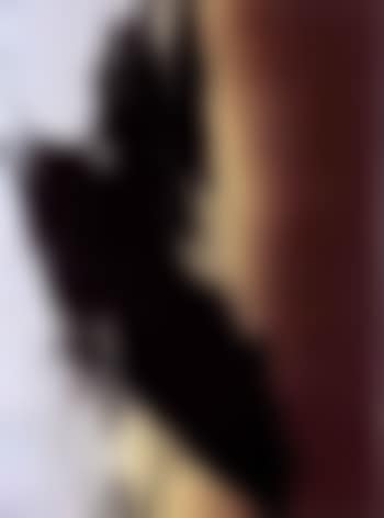 T1982-K28 (preview)