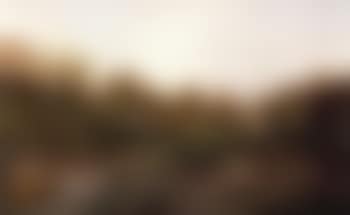 Landscape with trees and houses (preview)