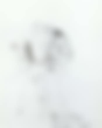 Untitled, drawing for etching (preview)