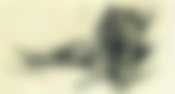 Recumbent tiger (preview)