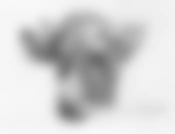 Head of cow (preview)