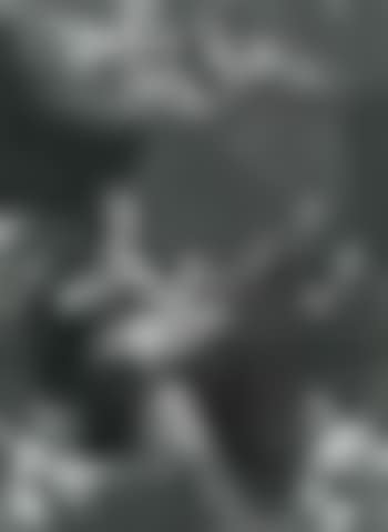 The Holy Family with little angels (preview)