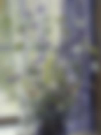 Summer flowers in vase (preview)