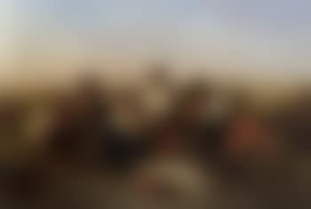 Southern party gathered in field (preview)