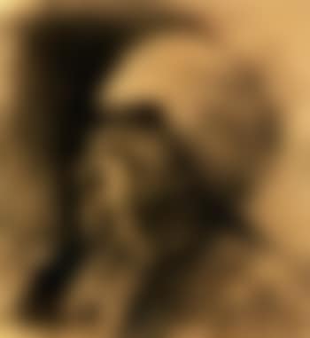 Portrait of a laughing cossack (preview)