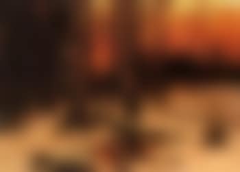 Sunset through the trees (preview)