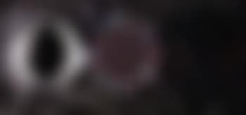 Untitled - Black background (preview)