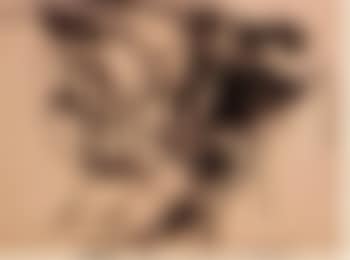 Untitled (preview)