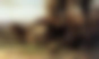 Mallejan (preview)