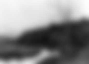 Glaneuse en bord de riviere (preview)