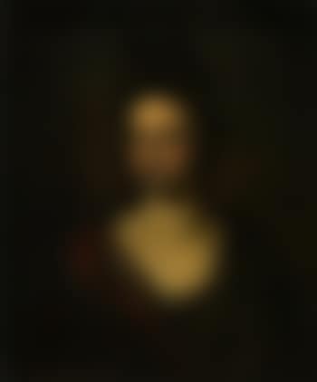Woman's portrait (preview)