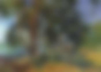 Trees by Lake Constance (preview)