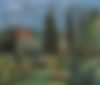 Florence, view of Villa Romana (preview)
