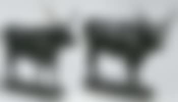 Hungarian cattle (preview)
