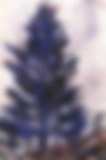 Spruce tree (preview)