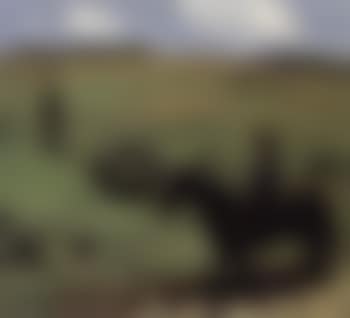 Horseman in blue jacket before hilly landscape (preview)