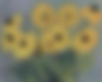 Flowers (preview)