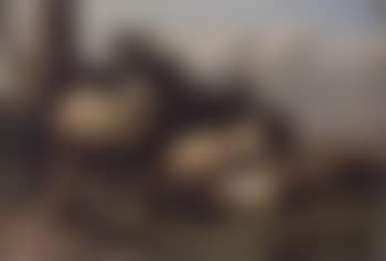 Landscapes with sheep (preview)