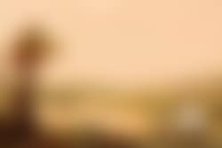 Upper Rhine landscape (preview)