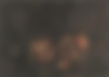 Peasants celebrating the birth of twins (preview)