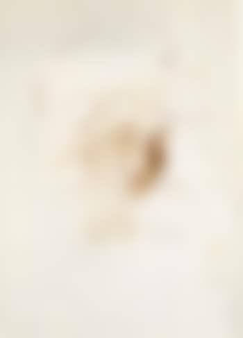 Visage (preview)
