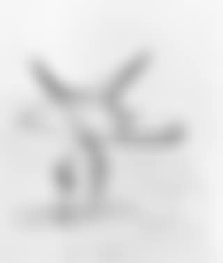 Angelus (preview)