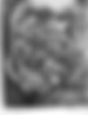 Autoportrait (preview)