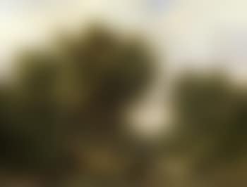 Herdsman with cattle in wooded river landscape (preview)