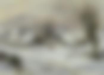 Village in winter landscape (preview)
