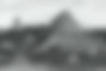 Cattle and horse grazing in farm yard (preview)
