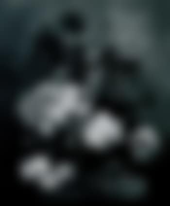 Still life of flowers in bowl on stone table (preview)