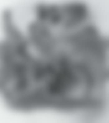 Lady on bicycle (preview)