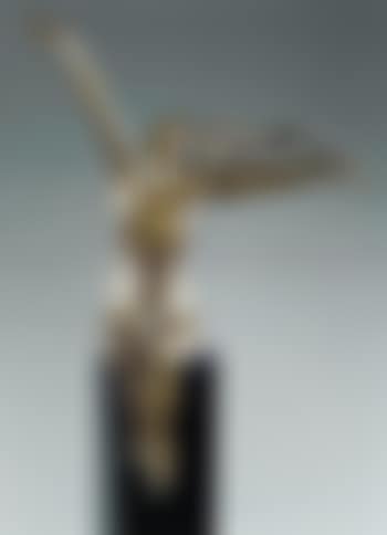 Femme echevelee (preview)