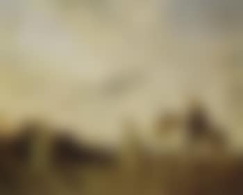 Bedouin camp (preview)