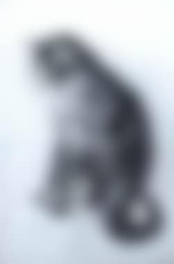 Petit chat tigre assis, tourne a gauche (preview)