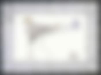 Oiseau (preview)
