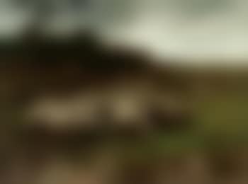 Out to pasture (preview)