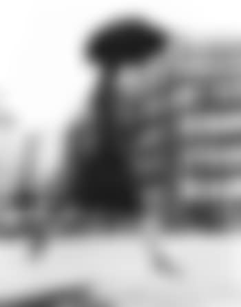 Carmen, hommage to Munkacsi (preview)