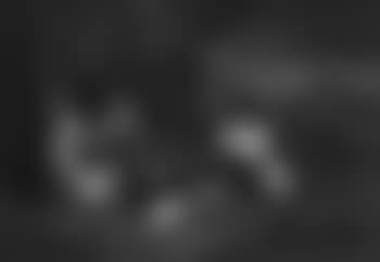 Still life of dead birds (preview)